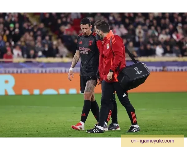 迪马利亚难选本菲卡皇马情结深