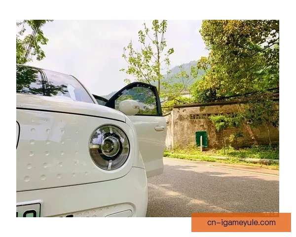 沙媒称哈姆丹注册待批已可出战