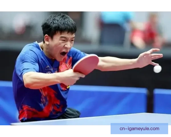 向鹏零比三负林昀儒止步新加坡