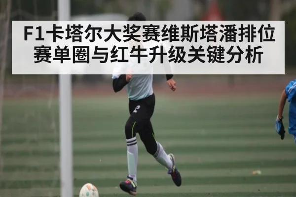 F1卡塔尔大奖赛维斯塔潘排位赛单圈与红牛升级关键分析